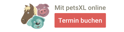 Terminvereinbarung über petsXL