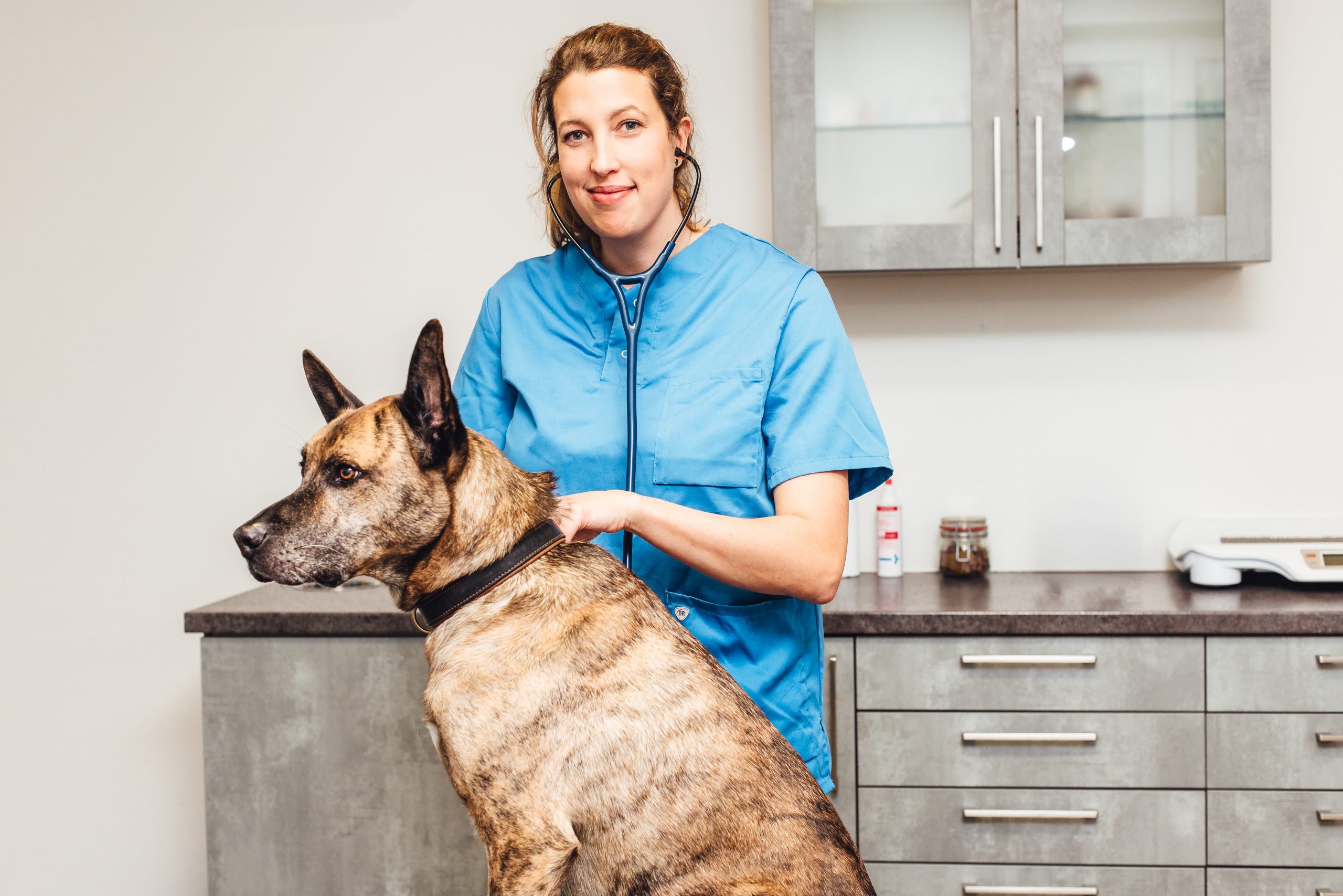 Tierärztin Jule Reekers